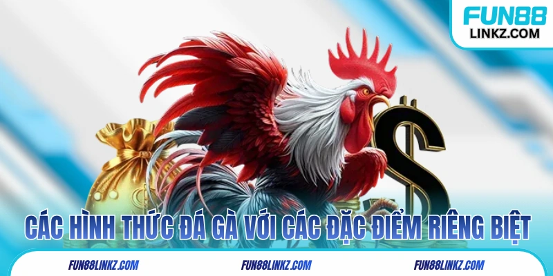 Các hình thức đá gà tại Thomo với đặc điểm riêng biệt