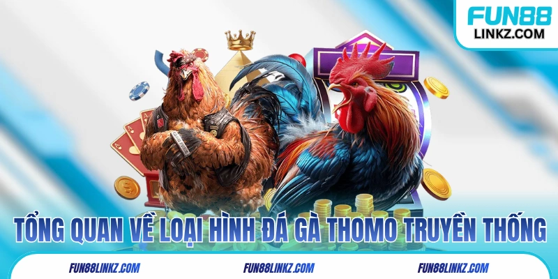 Tổng quan về loại hình đá gà Thomo truyền thống